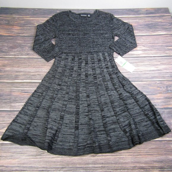 Nina Leonard Dresses & Skirts - Nina Leonard NEW NWT Large Gray Black A Line Long Sleeve Skater Dress Crewneck